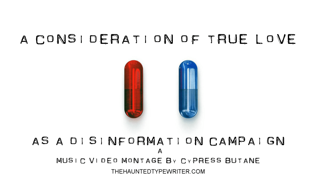 A Consideration Of True Love As a Disinformation&nbsp;Campaign